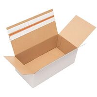 Cutii carton