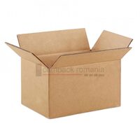 Cutii carton 290*190*200 mm